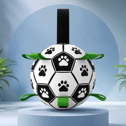 Kick & Chase Interactive Dog Soccer Ball