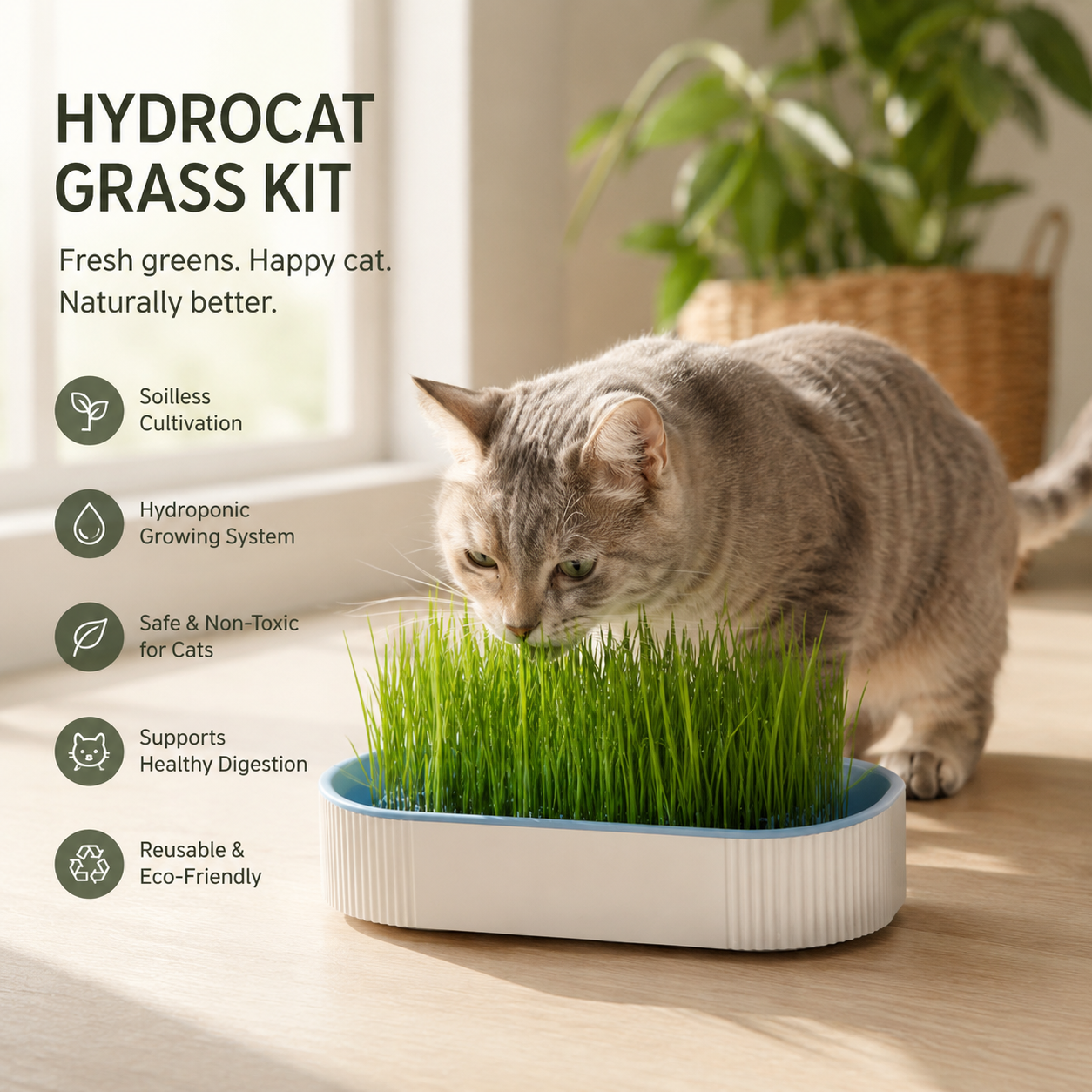 HydroCat Grass Kit
