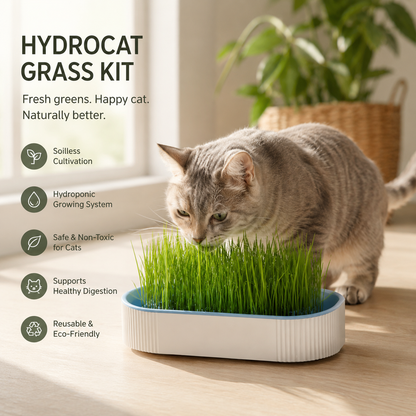 HydroCat Grass Kit