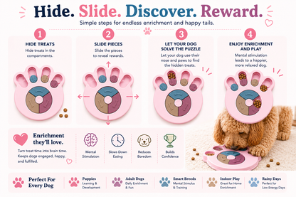 Interactive Puzzle Feeder for Dogs