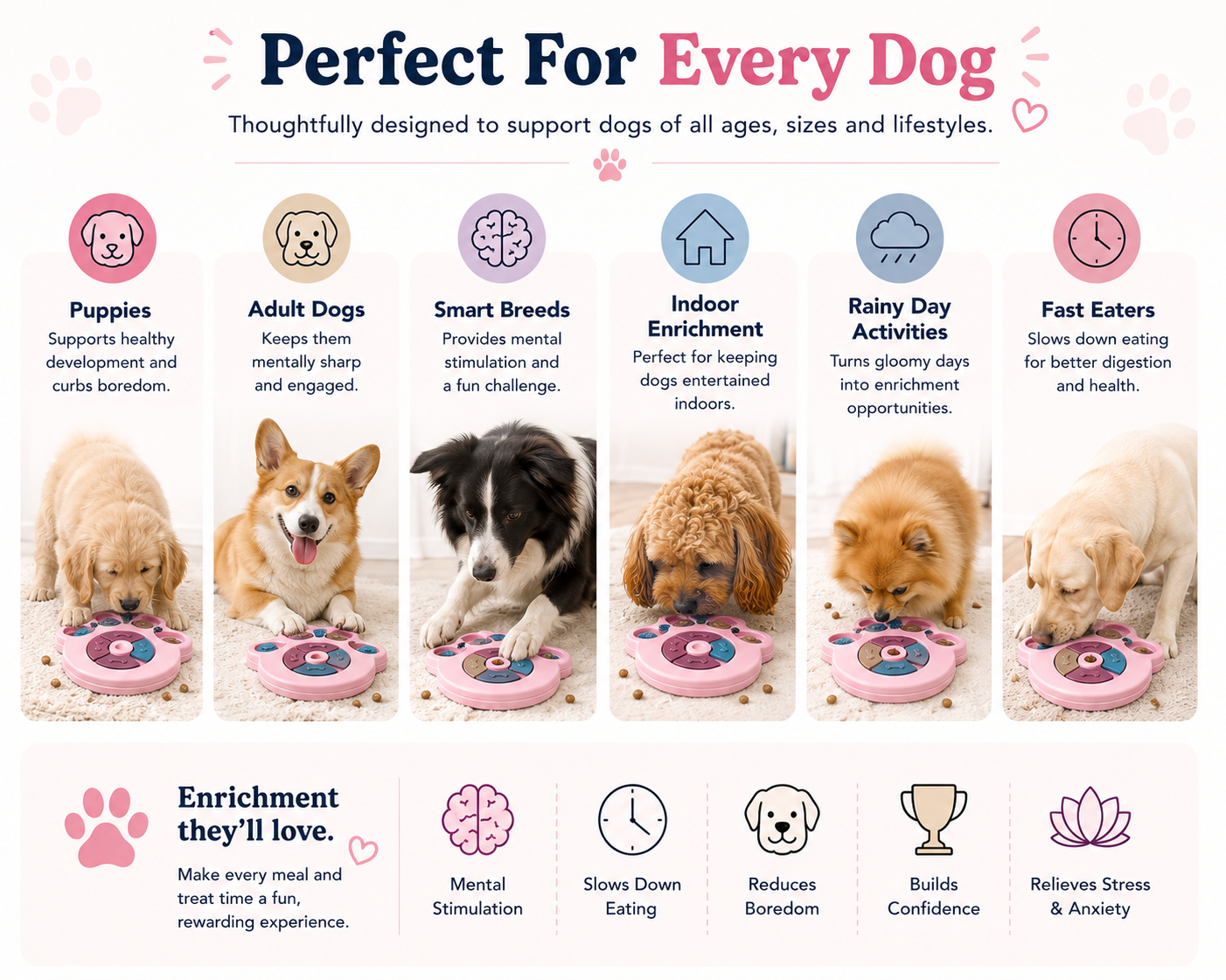 Interactive Puzzle Feeder for Dogs