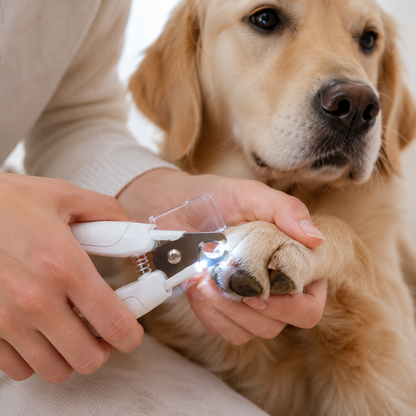 LED Safety Nail Clippers for Dogs & Cats
