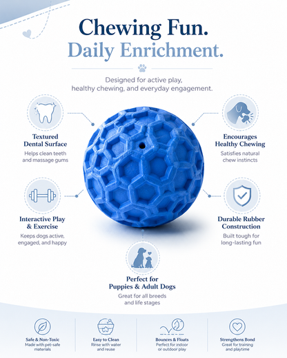 Bounce & Chew Dental Ball for Dogs