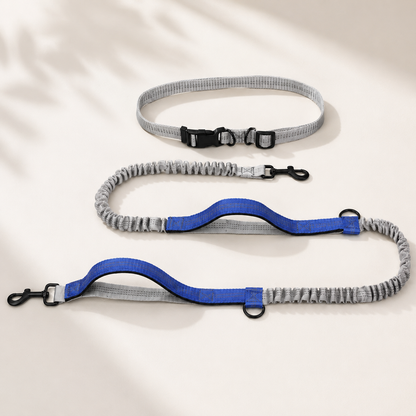Trailblazer Dog Leash