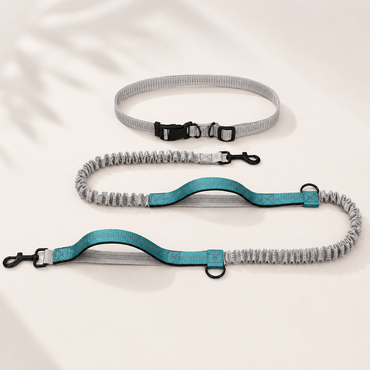 Trailblazer Dog Leash