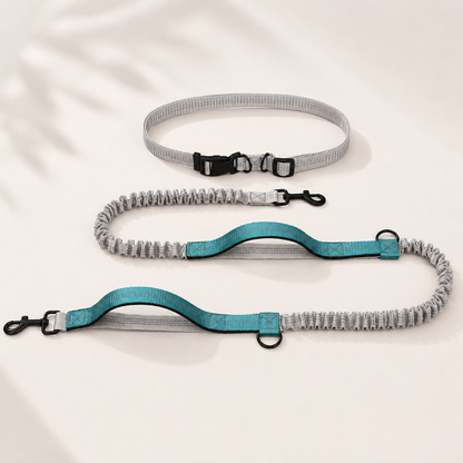 Trailblazer Dog Leash