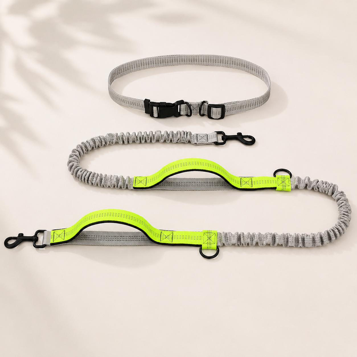 Trailblazer Dog Leash