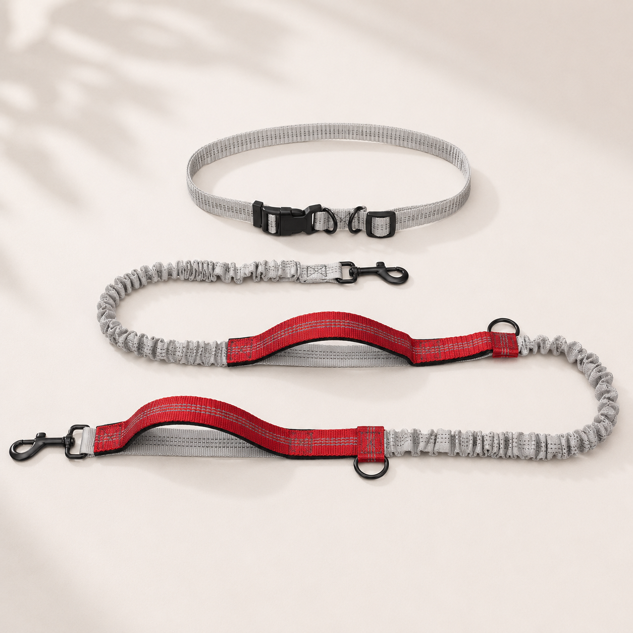 Trailblazer Dog Leash