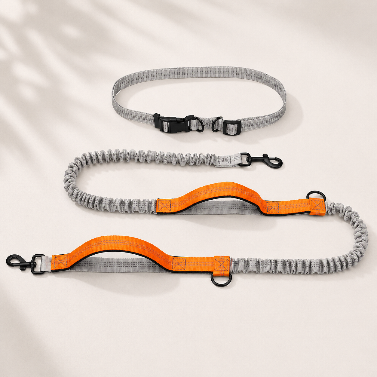 Trailblazer Dog Leash