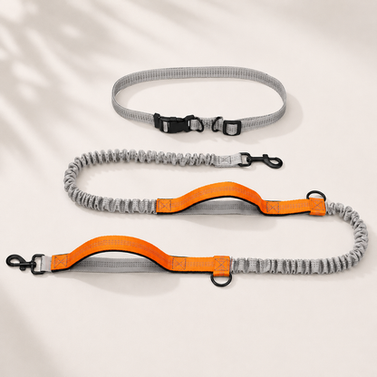 Trailblazer Dog Leash