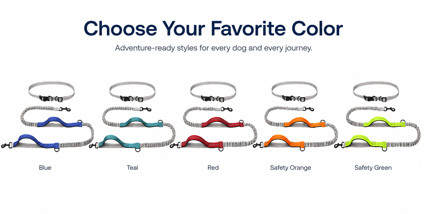 Trailblazer Dog Leash