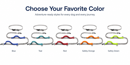 Trailblazer Dog Leash