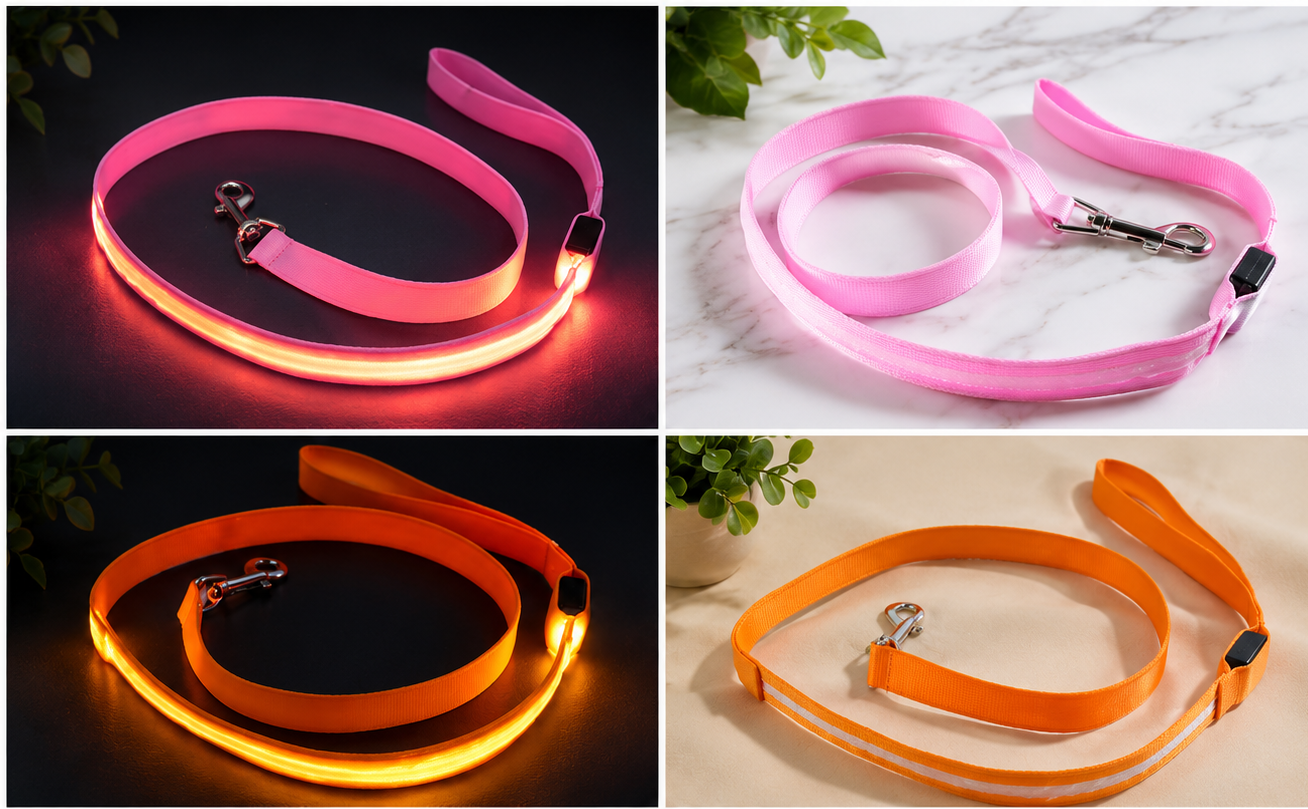 LED Safety Leash for Dogs