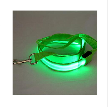 LED Safety Leash for Dogs