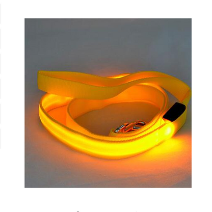 LED Safety Leash for Dogs