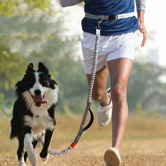 Trailblazer Dog Leash